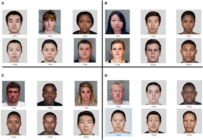 Are You Able to Trust Me? Analysis of the Relationships Between Personality Traits and the Assessment of Attractiveness and Trust